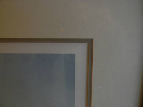 Thomas Baines Limited Edition Print