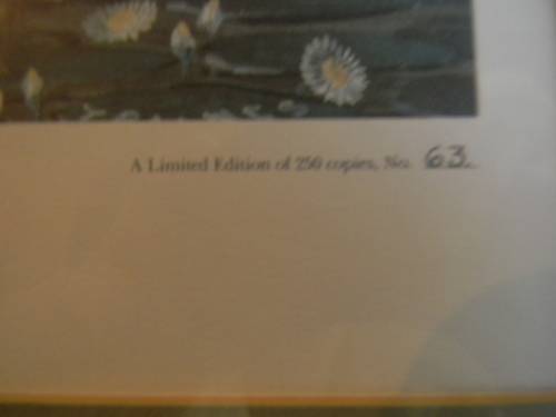 Thomas Baines Limited Edition Print
