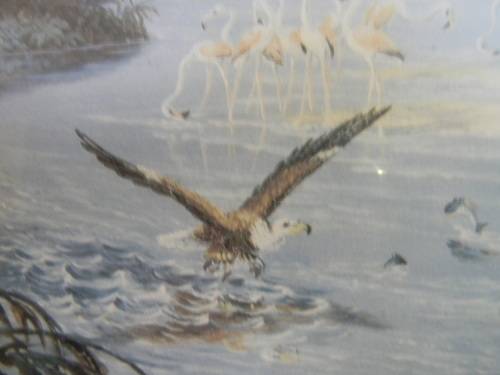 Thomas Baines Limited Edition Print