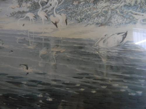 Thomas Baines Limited Edition Print