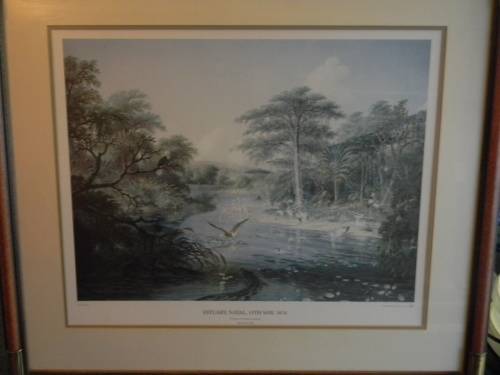 Thomas Baines Limited Edition Print