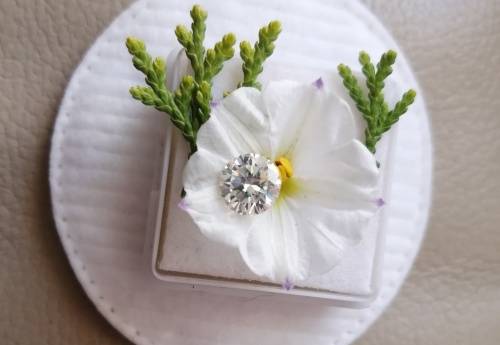 1.17ct Vvs1 Round H-I White Loose Moissanite