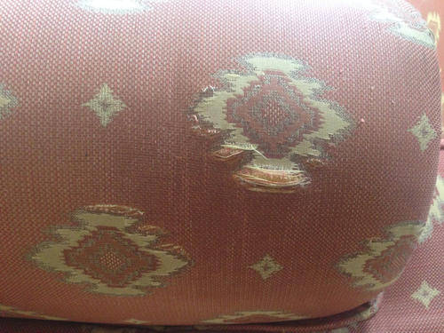 Wetherlys 2 x 2 seater lounge suite