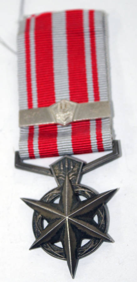 SAP Medal for Combatting Terrorism with bar