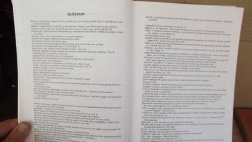 GUIDE TO THE PLANT GENERA OF THE WESTERN CAPE,THE LEVYNE----TERRY H. TINDER-SMITH