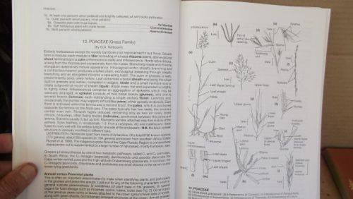 GUIDE TO THE PLANT GENERA OF THE WESTERN CAPE,THE LEVYNE----TERRY H. TINDER-SMITH