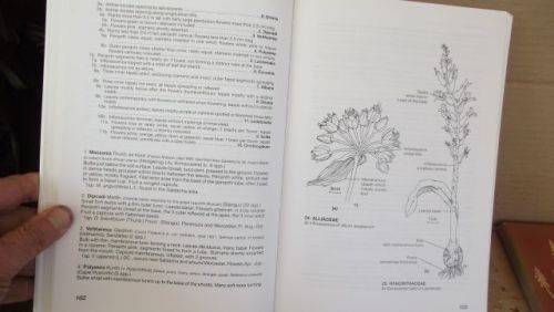 GUIDE TO THE PLANT GENERA OF THE WESTERN CAPE,THE LEVYNE----TERRY H. TINDER-SMITH