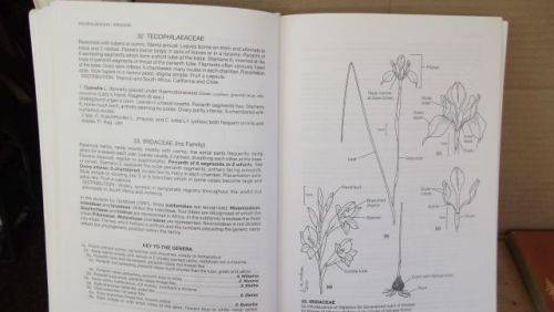 GUIDE TO THE PLANT GENERA OF THE WESTERN CAPE,THE LEVYNE----TERRY H. TINDER-SMITH