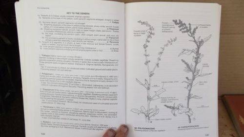GUIDE TO THE PLANT GENERA OF THE WESTERN CAPE,THE LEVYNE----TERRY H. TINDER-SMITH
