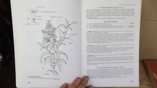 GUIDE TO THE PLANT GENERA OF THE WESTERN CAPE,THE LEVYNE----TERRY H. TINDER-SMITH