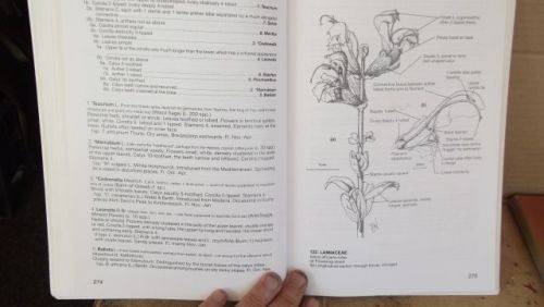GUIDE TO THE PLANT GENERA OF THE WESTERN CAPE,THE LEVYNE----TERRY H. TINDER-SMITH