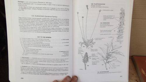 GUIDE TO THE PLANT GENERA OF THE WESTERN CAPE,THE LEVYNE----TERRY H. TINDER-SMITH