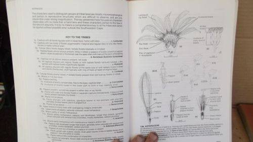 GUIDE TO THE PLANT GENERA OF THE WESTERN CAPE,THE LEVYNE----TERRY H. TINDER-SMITH