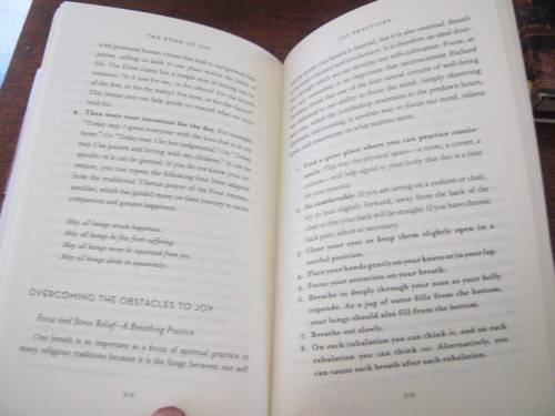 JOY,THE BOOK OF -HIS HOLINESS THE DALAI LAMA AND ARCHBISHOP DESMOND  TUTU WITH DOUGLAS ABRAMS