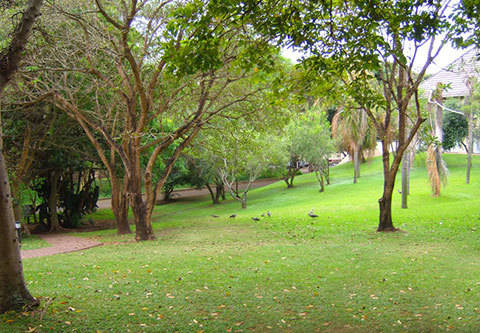 Sanbonani Resort & Spa - Holiday for 7 Days