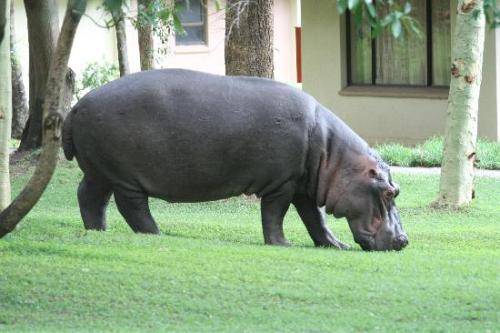 Sanbonani Resort & Spa - Holiday for 7 Days