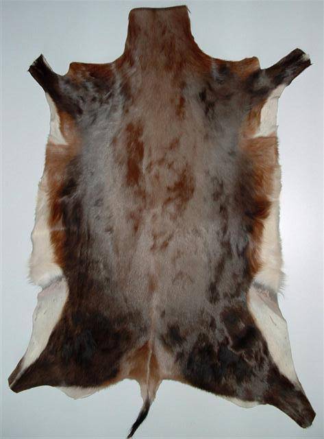 A grade Blesbok skin