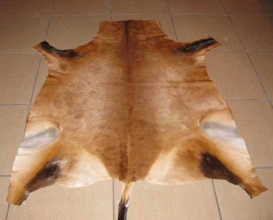African Red Hartebeest Skin Hide