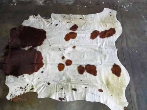 A grade brown and white Nguni skin