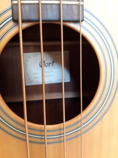 Cort Acoustic Bass including Cort Soft Case