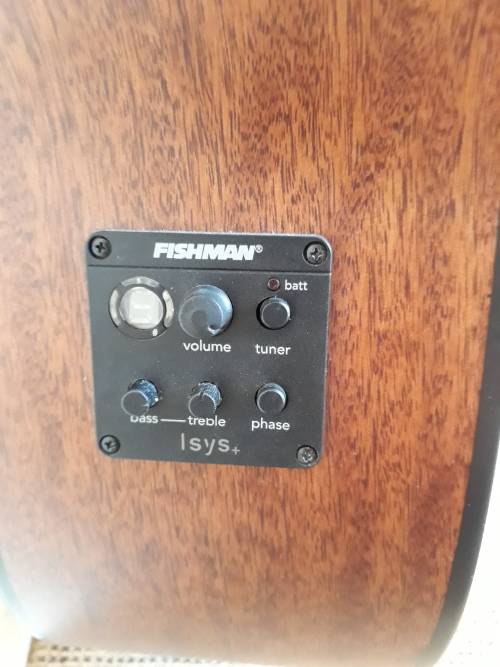 Cort Acoustic Bass including Cort Soft Case