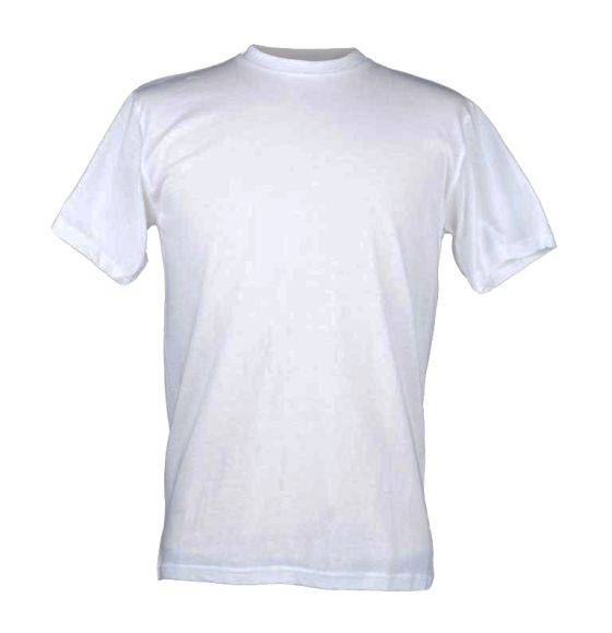 Plain T Shirt Ideal for Screen Printing (180 gsm) 100% Cotton Surf Wear Quality