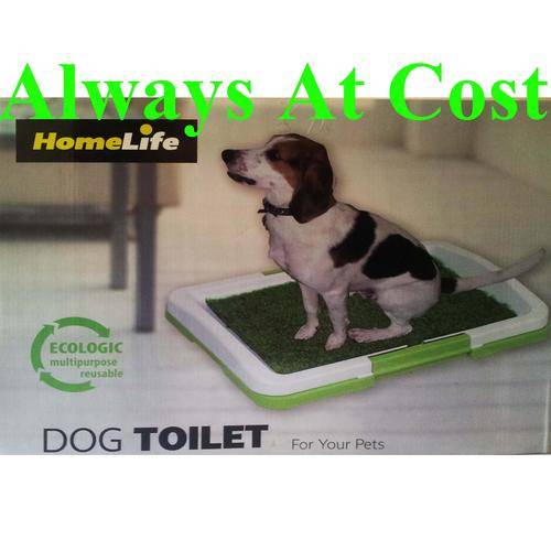 A Doggie Toilet !!! Oh Yes At Last !!!