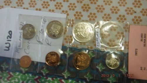 1973 SA COIN SET
