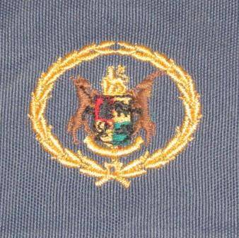 Pre-1994 SAP Warrant Officer Sleeves, Blue/Grey - Brand New