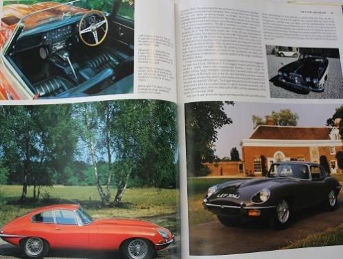Jaguar by Paul Skilleter