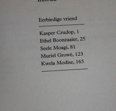 Langsaan die vuur-Vyf lewensverhale deur A.H.M. Scholtz