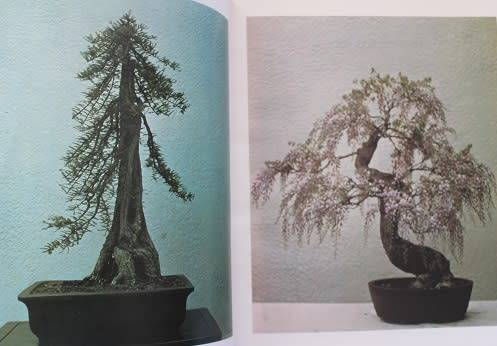 Bonsai Techniques by John Yoshio Naka. Signed !