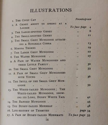 The Natural History of South Africa by F.W. Fitzsimons. Mammals vol. 2