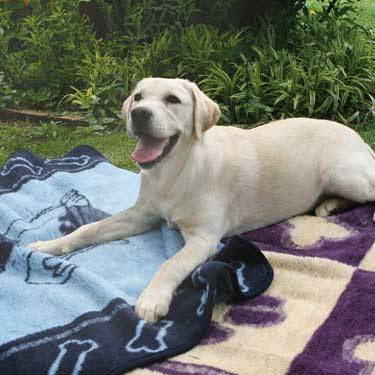 FANCY AND WARM PET BLANKETS