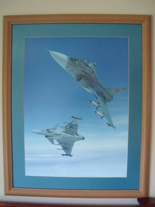 Gripen Fighter Jet