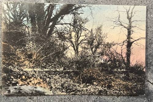 POSTCARD