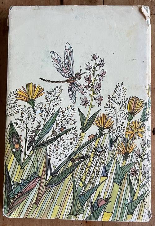 Klein Maja en haar avonture