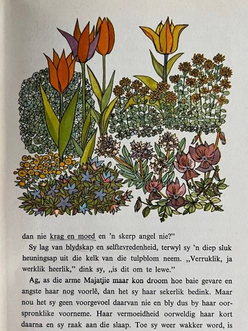 Klein Maja en haar avonture