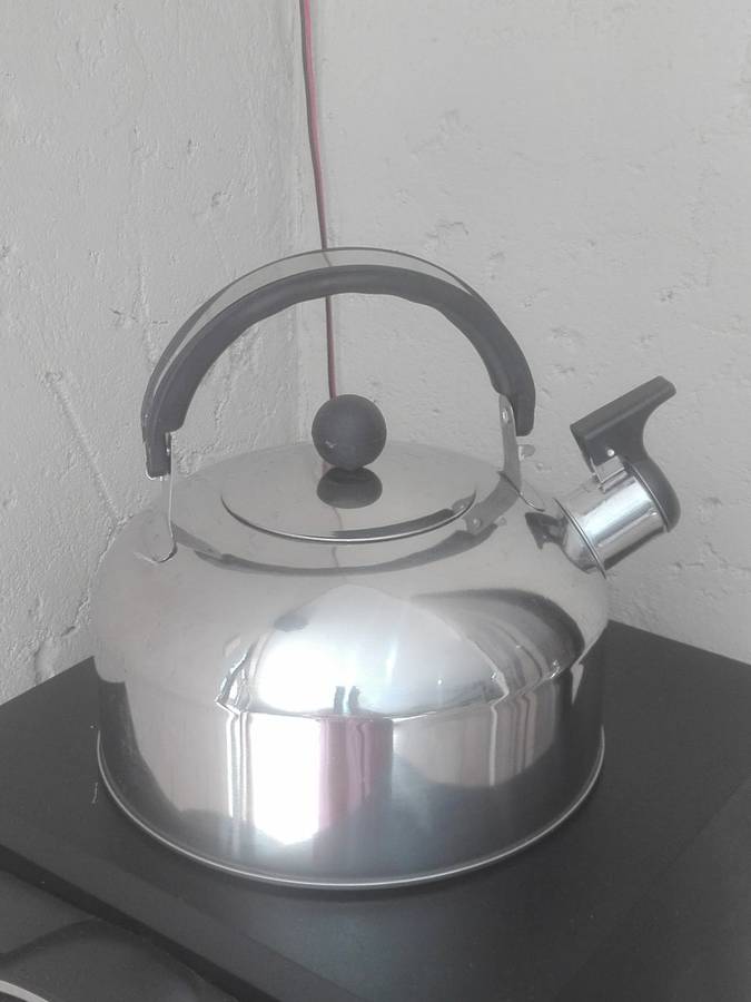 Stainless Steel Whistling Kettle