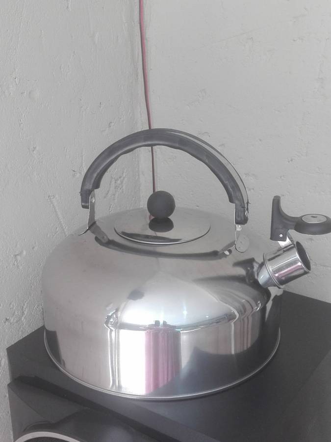 Stainless Steel Whistling Kettle