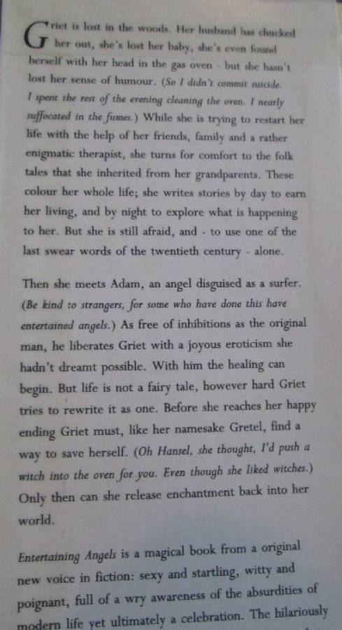 Entertaining Angels - Marita van der Vyver - Hardcover - 214 pages