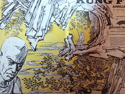 Kung Fu Annual - Brown Watson - Hardcover