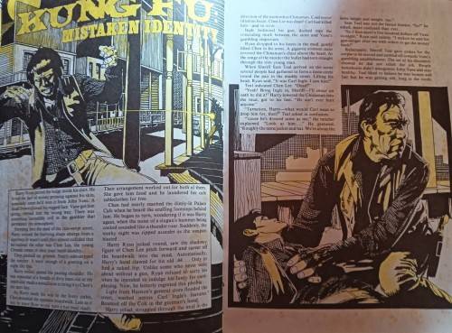 Kung Fu Annual - Brown Watson - Hardcover