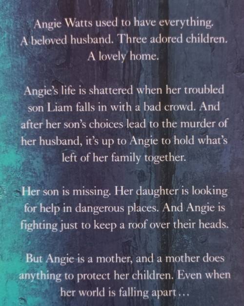 Home Truths - Susan Lewis - Hardcover - 424 Pages