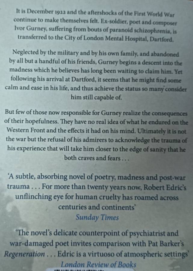 In Zodiac Light - Robert Edric - Softcover - 368 pages