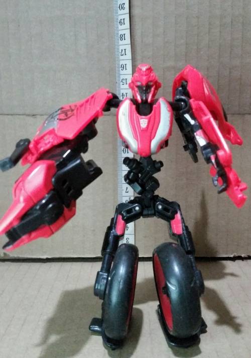 2010 Cyber Pursuit Transformer.