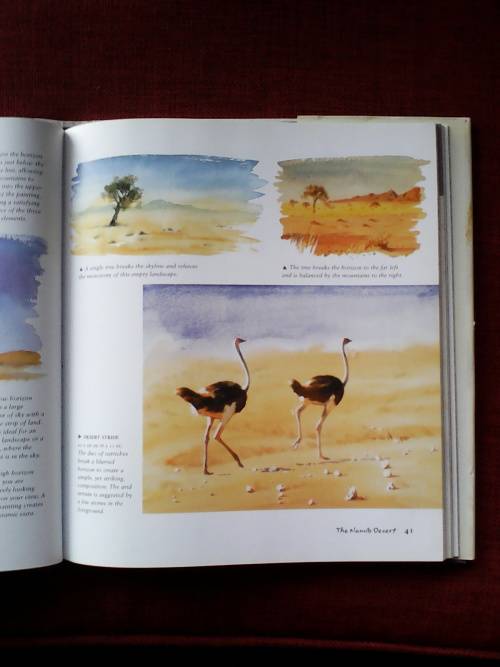 Hazel Soan`s African Watercolours. H/C. Large format. 128 pp. 1st 2003