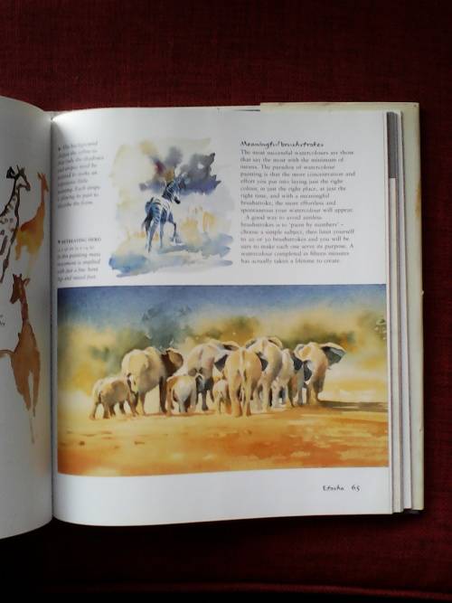 Hazel Soan`s African Watercolours. H/C. Large format. 128 pp. 1st 2003