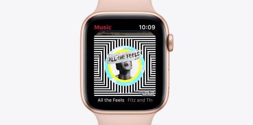 44mm Apple Watch Series 5 GPS with ECG - Space Grey Case / Anthracite Nike Sport Band (MX3W2SO/A)