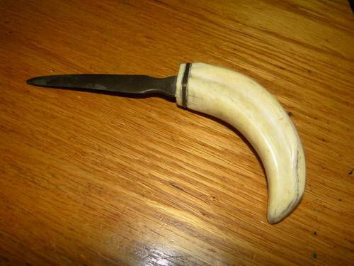 Envelope opener with tooth of warthog